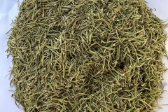 WhatsApp-Image-2025-10-28-at-11.18.37