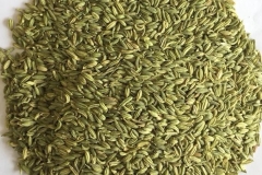 WhatsApp-Image-2025-10-28-at-11.18.38-1