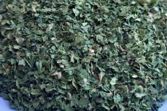 WhatsApp-Image-2025-10-28-at-11.18.38-2