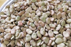 WhatsApp-Image-2025-10-28-at-11.18.38-3