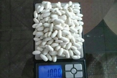 WhatsApp-Image-2025-10-28-at-11.18.38-4