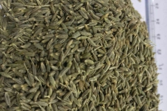 WhatsApp-Image-2025-10-28-at-11.18.38