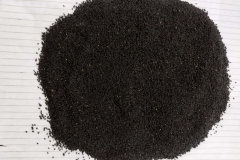 WhatsApp-Image-2025-10-28-at-11.18.39-1