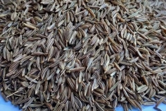 WhatsApp-Image-2025-10-28-at-11.18.39-2