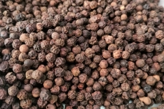 WhatsApp-Image-2025-10-28-at-11.18.39-3