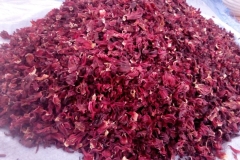 WhatsApp-Image-2025-10-28-at-11.18.39-4