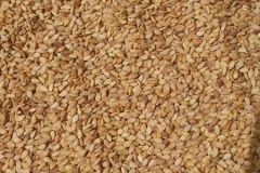 WhatsApp-Image-2025-10-28-at-11.18.39