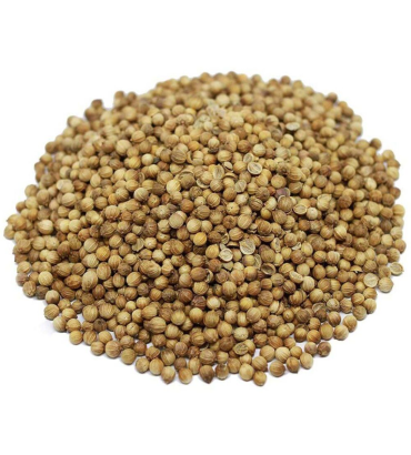Coriander