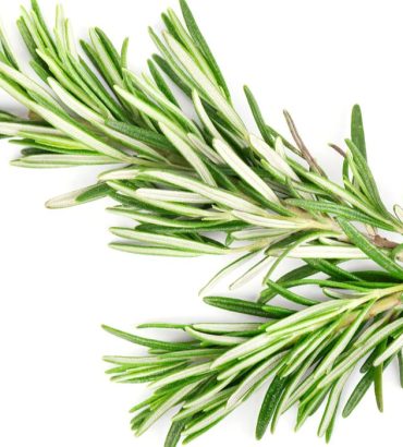 Rosemary