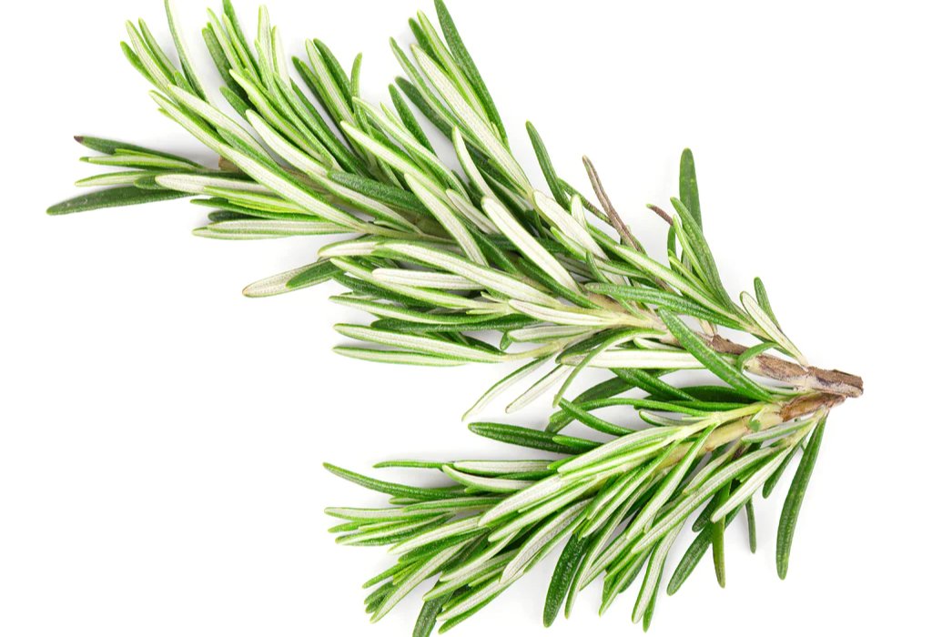 Rosemary