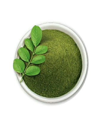 Moringa